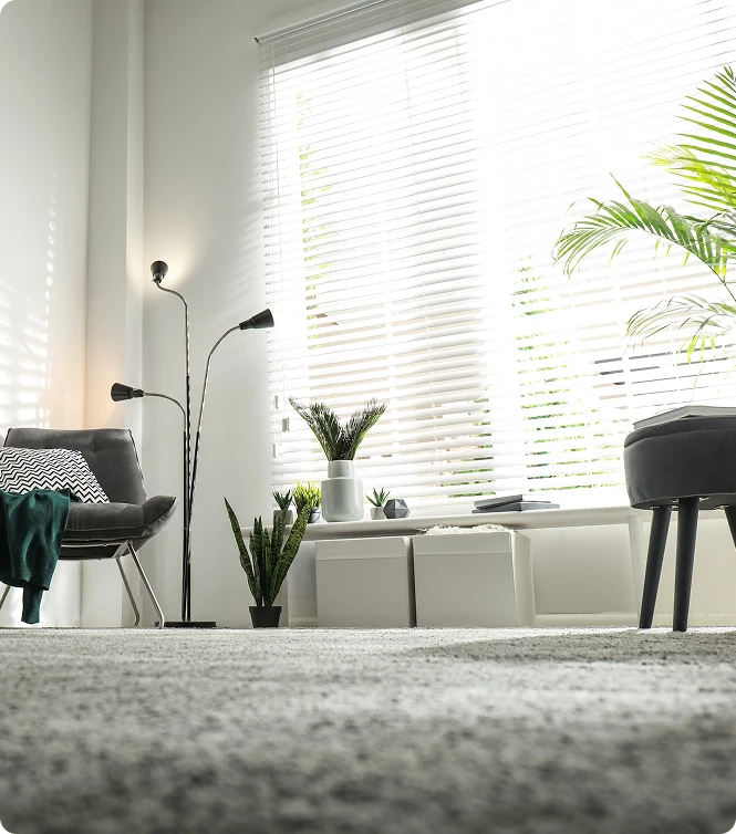 Carpet that feels soft and inviting while durable for everyday lif